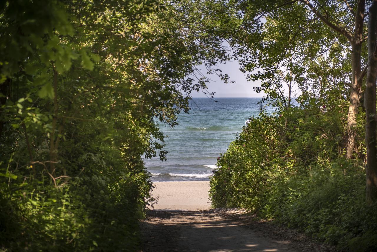 Feels Beach Club Hotel Ostseebad Kühlungsborn Eksteriør billede